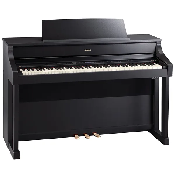Music City – Tổng Kho Piano, Guitar, Organ | Dịch Vụ Giáo Dục Âm Nhạc