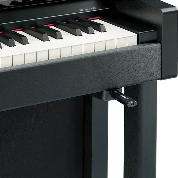 Music City – Tổng Kho Piano, Guitar, Organ | Dịch Vụ Giáo Dục Âm Nhạc