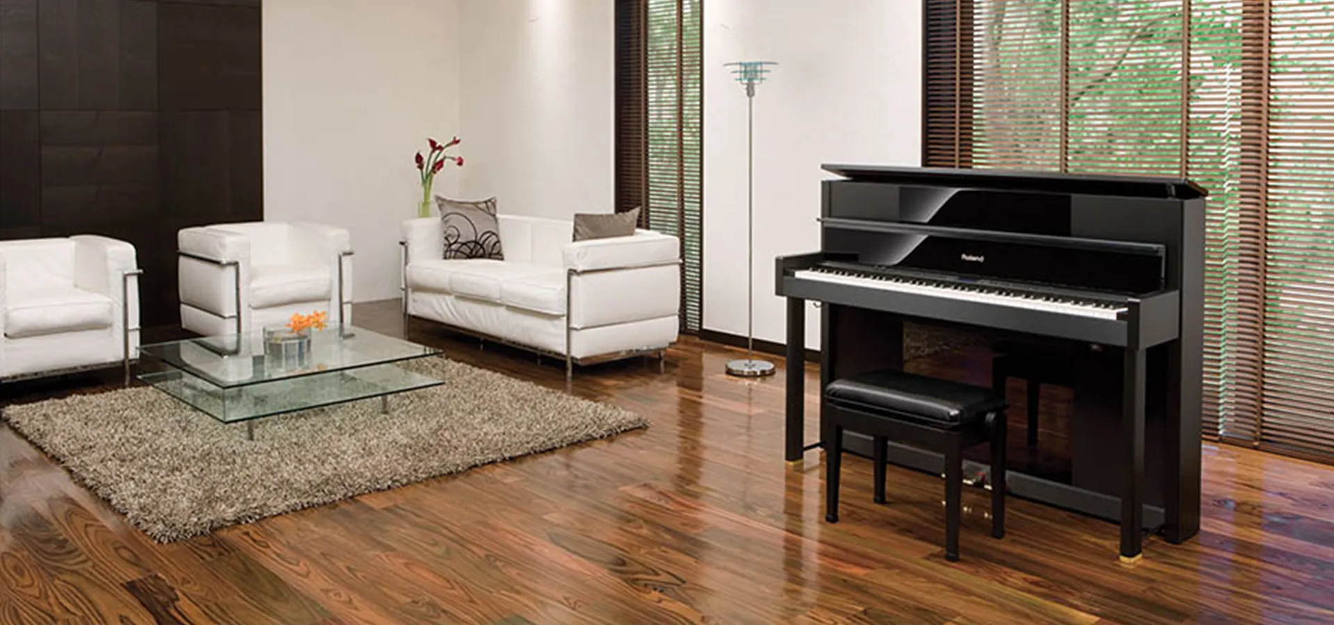 Music City – Tổng Kho Piano, Guitar, Organ | Dịch Vụ Giáo Dục Âm Nhạc