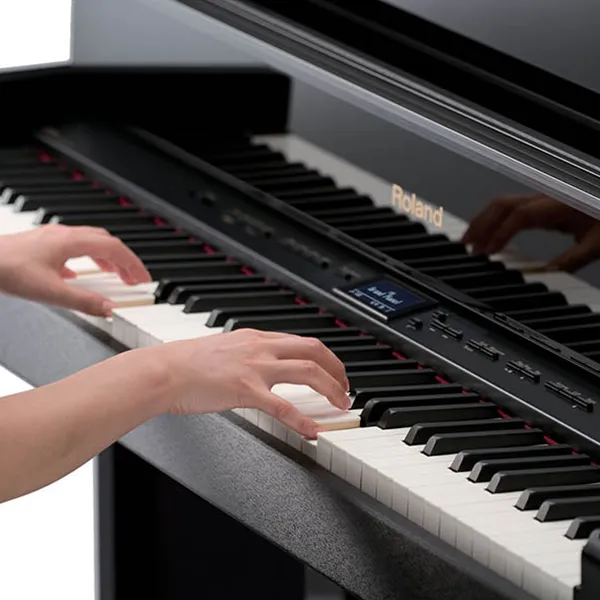 Music City – Tổng Kho Piano, Guitar, Organ | Dịch Vụ Giáo Dục Âm Nhạc