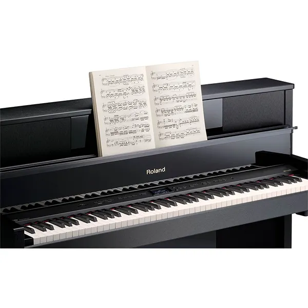 Music City – Tổng Kho Piano, Guitar, Organ | Dịch Vụ Giáo Dục Âm Nhạc