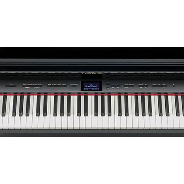 Music City – Tổng Kho Piano, Guitar, Organ | Dịch Vụ Giáo Dục Âm Nhạc