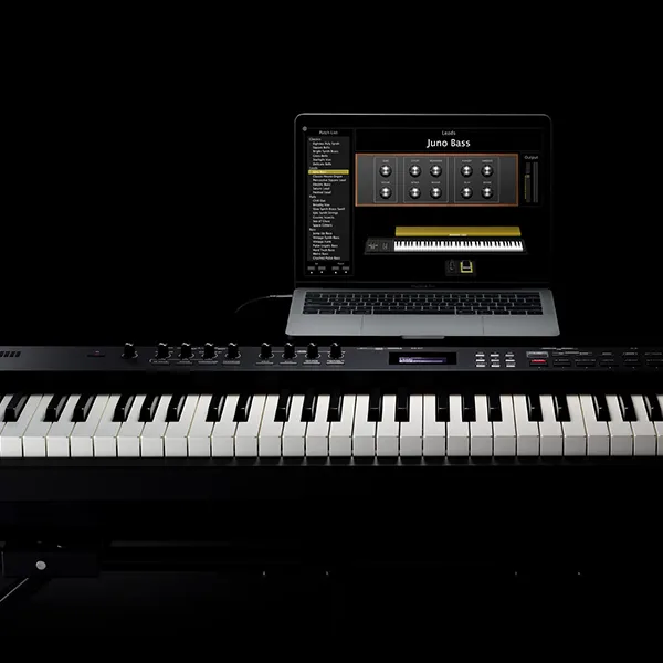 dan-piano-roland-rd88-musiccity