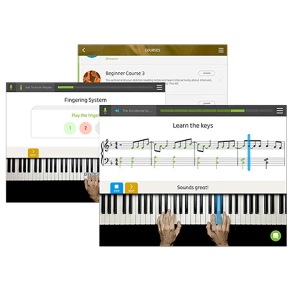 Music City – Tổng Kho Piano, Guitar, Organ | Dịch Vụ Giáo Dục Âm Nhạc