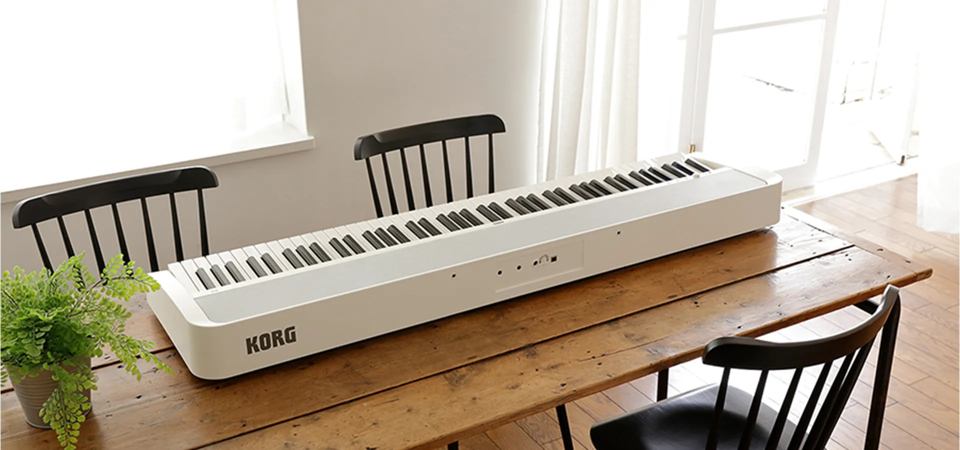 dan-piano-korg-b2-musiccity