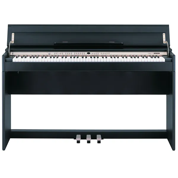 Music City – Tổng Kho Piano, Guitar, Organ | Dịch Vụ Giáo Dục Âm Nhạc