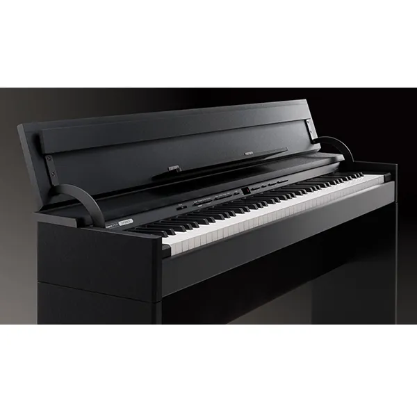 Music City – Tổng Kho Piano, Guitar, Organ | Dịch Vụ Giáo Dục Âm Nhạc