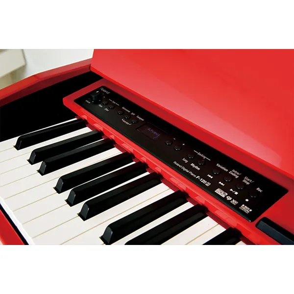 Music City – Tổng Kho Piano, Guitar, Organ | Dịch Vụ Giáo Dục Âm Nhạc