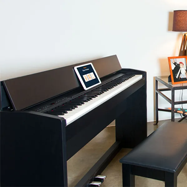 Music City – Tổng Kho Piano, Guitar, Organ | Dịch Vụ Giáo Dục Âm Nhạc