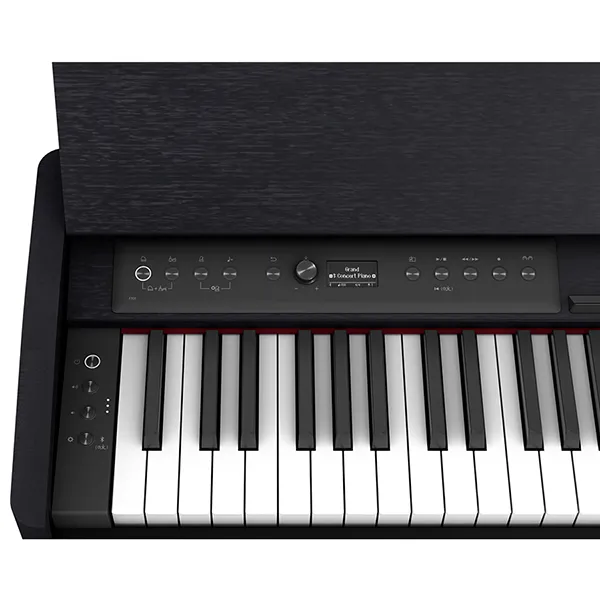Music City – Tổng Kho Piano, Guitar, Organ | Dịch Vụ Giáo Dục Âm Nhạc