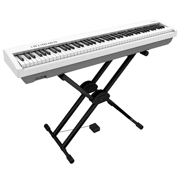 Music City – Tổng Kho Piano, Guitar, Organ | Dịch Vụ Giáo Dục Âm Nhạc