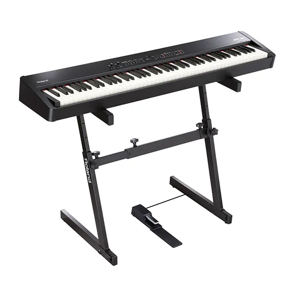 Music City – Tổng Kho Piano, Guitar, Organ | Dịch Vụ Giáo Dục Âm Nhạc