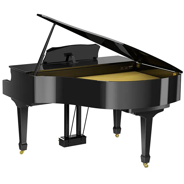 Music City – Tổng Kho Piano, Guitar, Organ | Dịch Vụ Giáo Dục Âm Nhạc