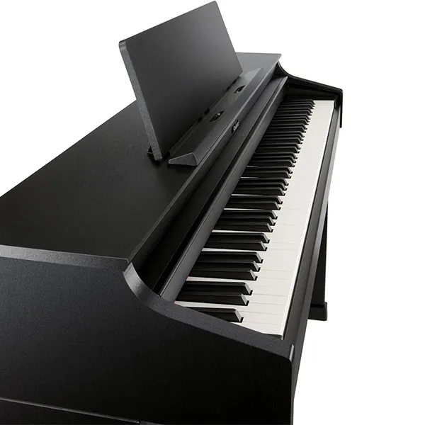 Music City – Tổng Kho Piano, Guitar, Organ | Dịch Vụ Giáo Dục Âm Nhạc