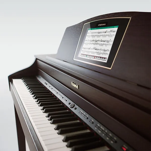 Music City – Tổng Kho Piano, Guitar, Organ | Dịch Vụ Giáo Dục Âm Nhạc