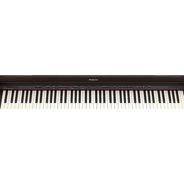 Music City – Tổng Kho Piano, Guitar, Organ | Dịch Vụ Giáo Dục Âm Nhạc
