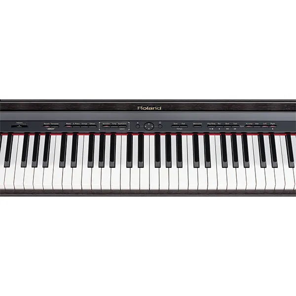 Music City – Tổng Kho Piano, Guitar, Organ | Dịch Vụ Giáo Dục Âm Nhạc