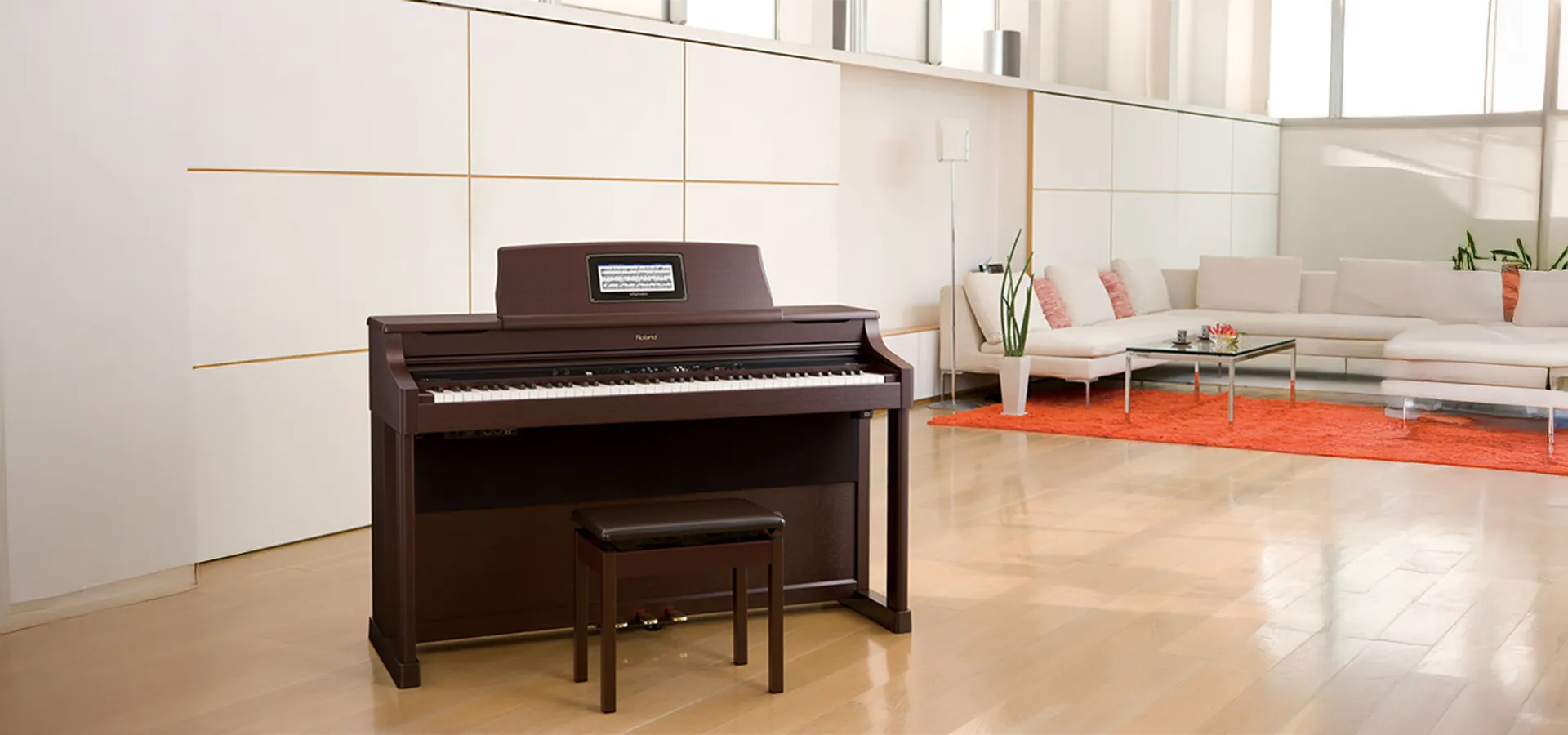 Music City – Tổng Kho Piano, Guitar, Organ | Dịch Vụ Giáo Dục Âm Nhạc