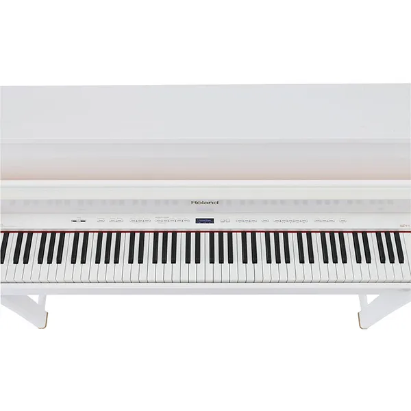 Music City – Tổng Kho Piano, Guitar, Organ | Dịch Vụ Giáo Dục Âm Nhạc