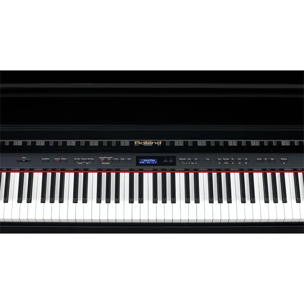 Music City – Tổng Kho Piano, Guitar, Organ | Dịch Vụ Giáo Dục Âm Nhạc