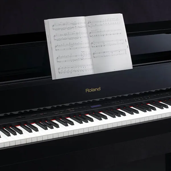Music City – Tổng Kho Piano, Guitar, Organ | Dịch Vụ Giáo Dục Âm Nhạc