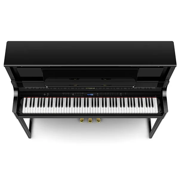 Music City – Tổng Kho Piano, Guitar, Organ | Dịch Vụ Giáo Dục Âm Nhạc