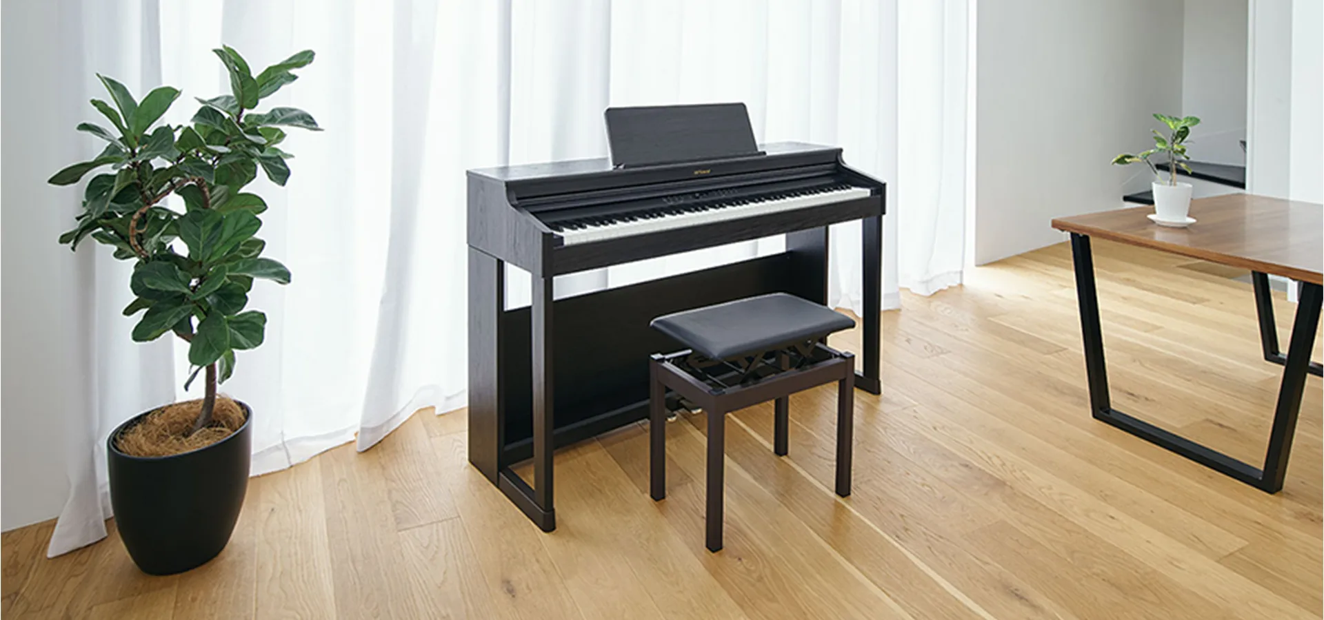 Music City – Tổng Kho Piano, Guitar, Organ | Dịch Vụ Giáo Dục Âm Nhạc