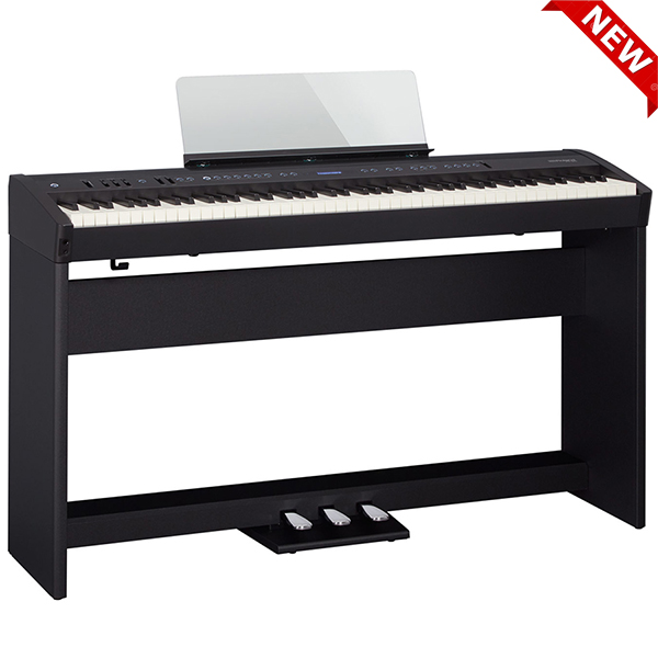 Music City – Tổng Kho Piano, Guitar, Organ | Dịch Vụ Giáo Dục Âm Nhạc