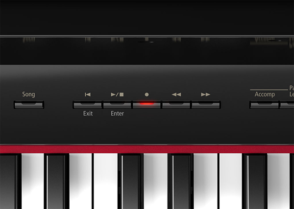 Music City – Tổng Kho Piano, Guitar, Organ | Dịch Vụ Giáo Dục Âm Nhạc