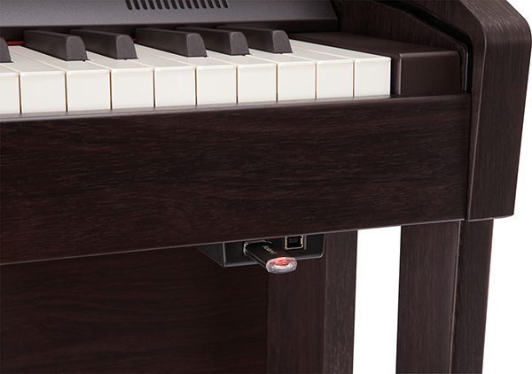 Music City – Tổng Kho Piano, Guitar, Organ | Dịch Vụ Giáo Dục Âm Nhạc