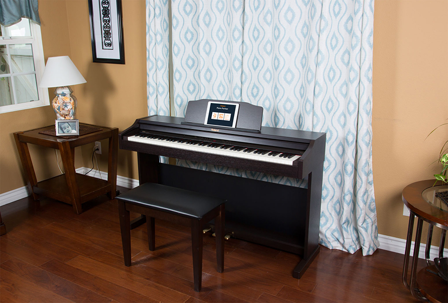 Music City – Tổng Kho Piano, Guitar, Organ | Dịch Vụ Giáo Dục Âm Nhạc