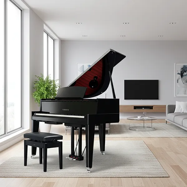 Music City – Tổng Kho Piano, Guitar, Organ | Dịch Vụ Giáo Dục Âm Nhạc