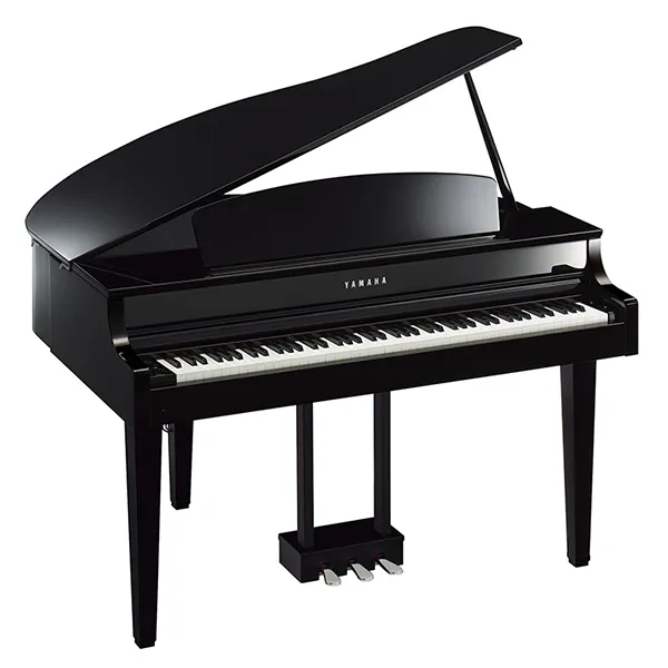 Music City – Tổng Kho Piano, Guitar, Organ | Dịch Vụ Giáo Dục Âm Nhạc