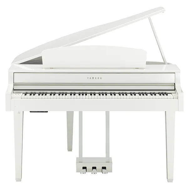 Music City – Tổng Kho Piano, Guitar, Organ | Dịch Vụ Giáo Dục Âm Nhạc