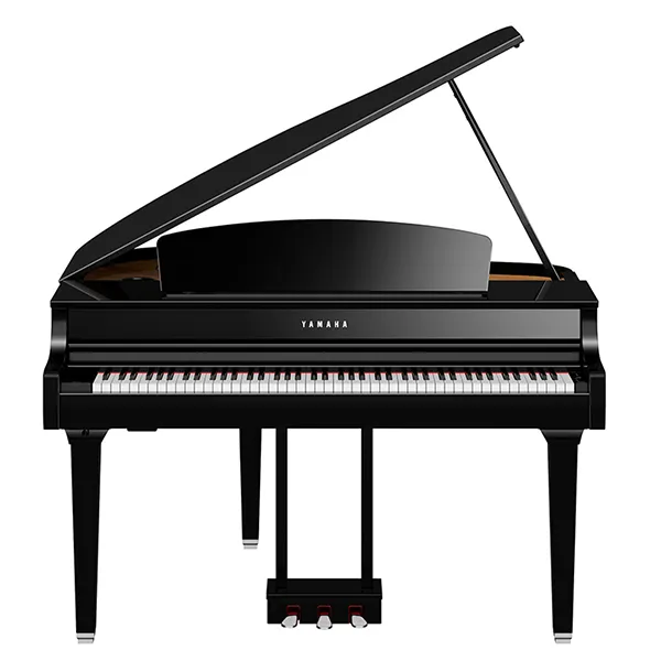 Music City – Tổng Kho Piano, Guitar, Organ | Dịch Vụ Giáo Dục Âm Nhạc
