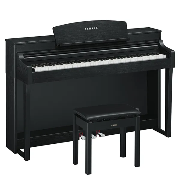 Music City – Tổng Kho Piano, Guitar, Organ | Dịch Vụ Giáo Dục Âm Nhạc