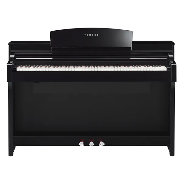 Music City – Tổng Kho Piano, Guitar, Organ | Dịch Vụ Giáo Dục Âm Nhạc