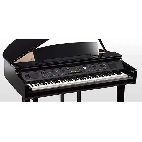 Music City – Tổng Kho Piano, Guitar, Organ | Dịch Vụ Giáo Dục Âm Nhạc
