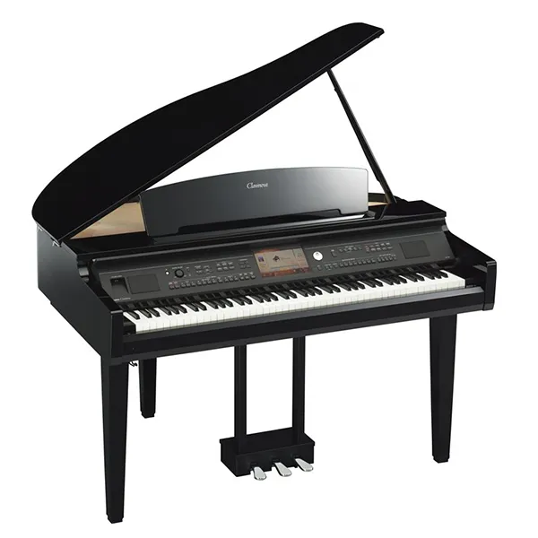 Music City – Tổng Kho Piano, Guitar, Organ | Dịch Vụ Giáo Dục Âm Nhạc