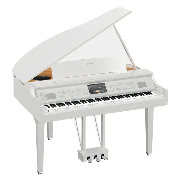 Music City – Tổng Kho Piano, Guitar, Organ | Dịch Vụ Giáo Dục Âm Nhạc