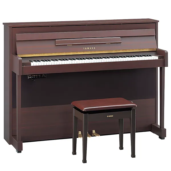 Music City – Tổng Kho Piano, Guitar, Organ | Dịch Vụ Giáo Dục Âm Nhạc