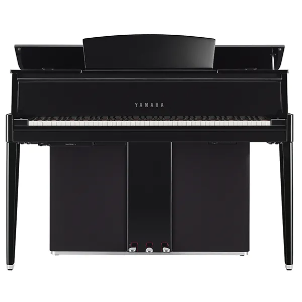 Music City – Tổng Kho Piano, Guitar, Organ | Dịch Vụ Giáo Dục Âm Nhạc