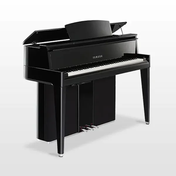 Music City – Tổng Kho Piano, Guitar, Organ | Dịch Vụ Giáo Dục Âm Nhạc