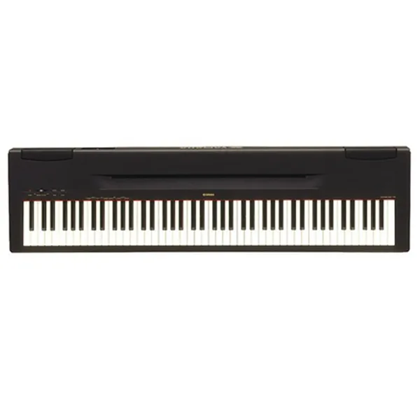 Music City – Tổng Kho Piano, Guitar, Organ | Dịch Vụ Giáo Dục Âm Nhạc