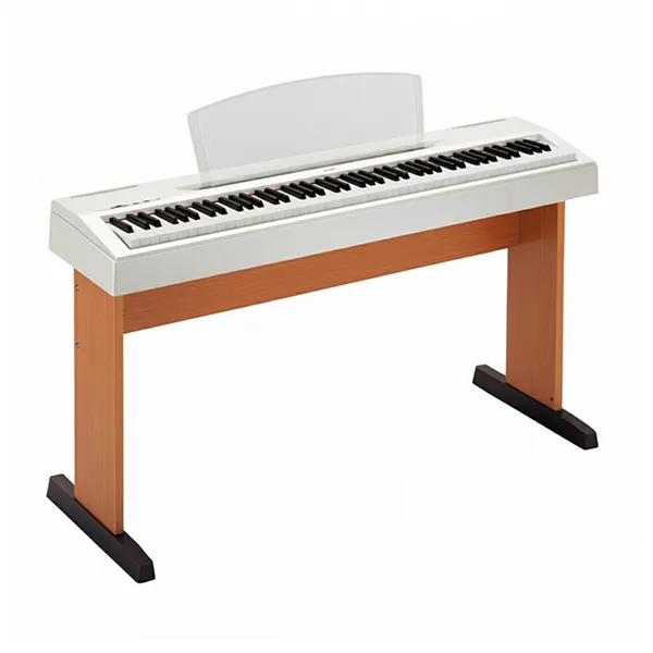 Music City – Tổng Kho Piano, Guitar, Organ | Dịch Vụ Giáo Dục Âm Nhạc