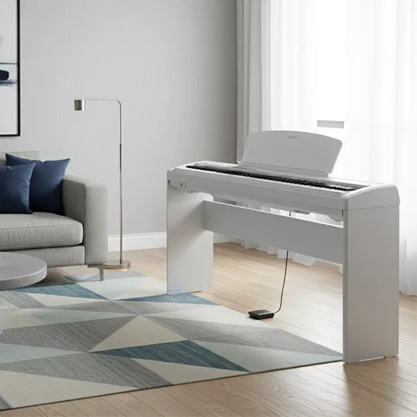 Music City – Tổng Kho Piano, Guitar, Organ | Dịch Vụ Giáo Dục Âm Nhạc