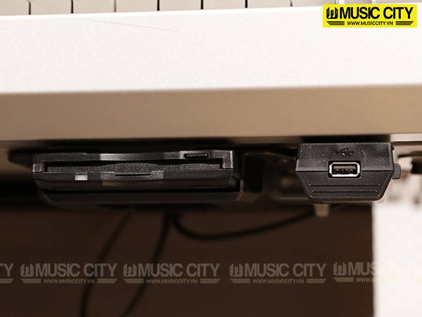 Music City – Tổng Kho Piano, Guitar, Organ | Dịch Vụ Giáo Dục Âm Nhạc