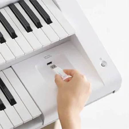 Music City – Tổng Kho Piano, Guitar, Organ | Dịch Vụ Giáo Dục Âm Nhạc