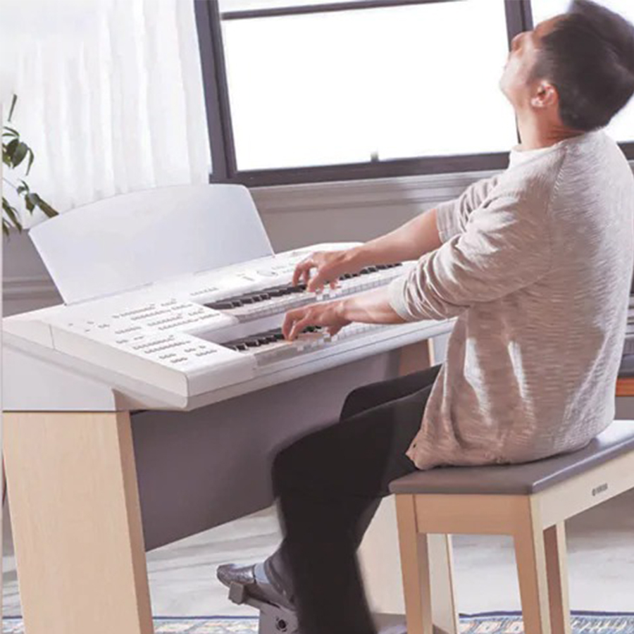 Music City – Tổng Kho Piano, Guitar, Organ | Dịch Vụ Giáo Dục Âm Nhạc