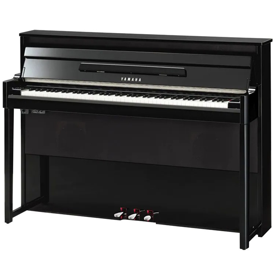 Music City – Tổng Kho Piano, Guitar, Organ | Dịch Vụ Giáo Dục Âm Nhạc